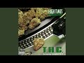 So High (G-13) - Timboking