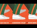 Anderson Paak Feat Rick Ross CUT EM IN Official Audio