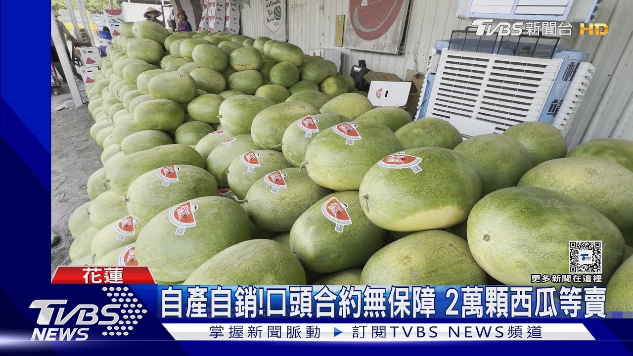 控盤商談好價又砍5成 西瓜農:成本都不夠