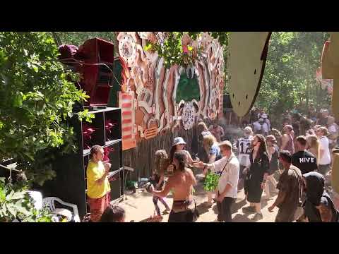 Sick Noise Hive 2022