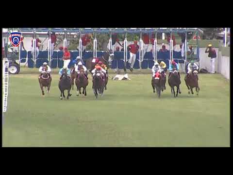 RM15 R2 | Vision Of Trust | A.Aucharuz