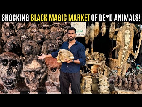Inside the World's LARGEST VOODOO/BLACK MAGIC Market of D*ad Animals in Africa! ????????