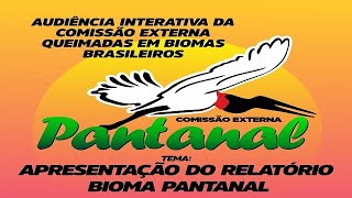 Queimadas - Apresentação do Relatório Bioma Pantanal - None