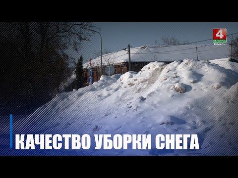 Качество уборки снега в райцентрах проверили на Гомельщине видео