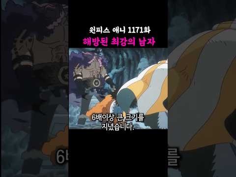 해방된 최강의 남자 (원피스 애니 1171화)