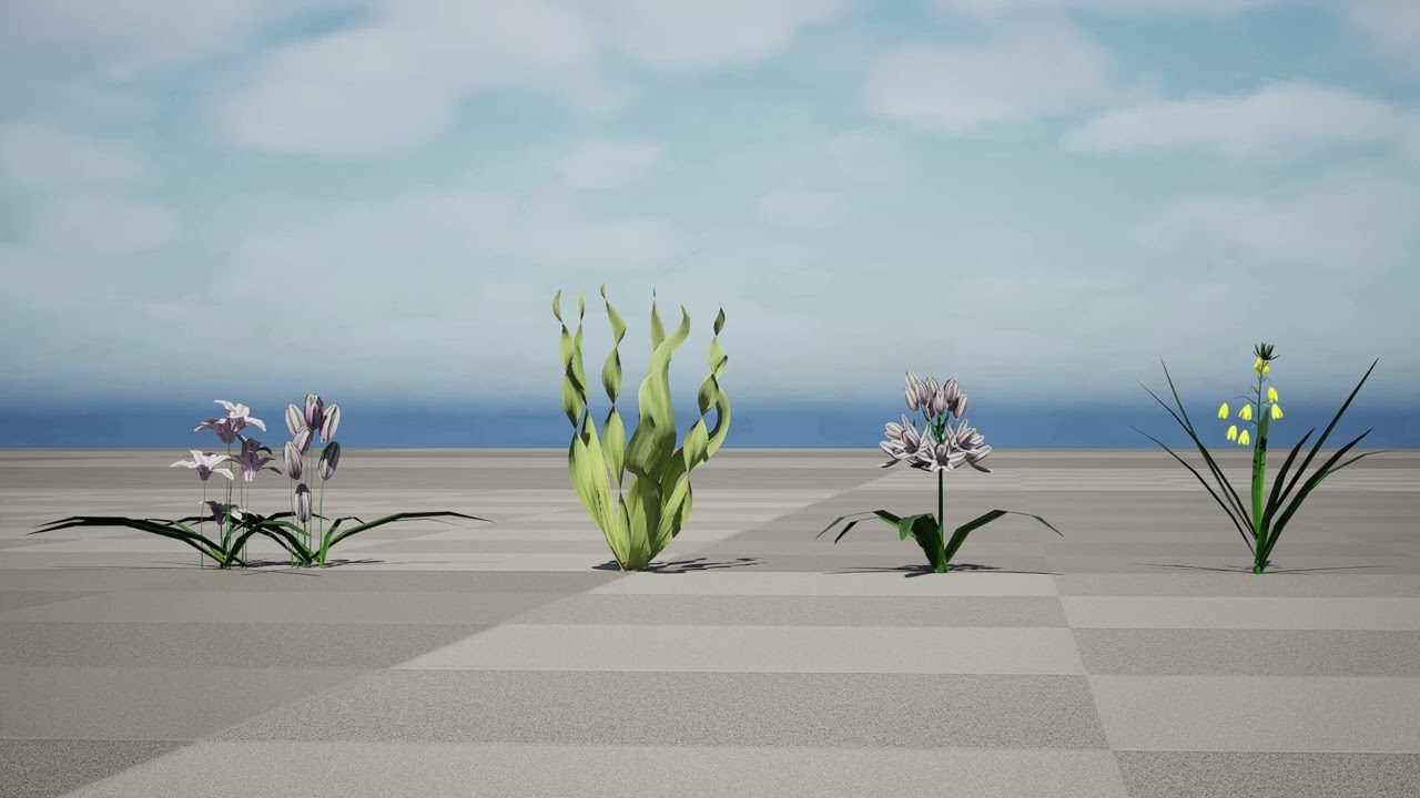 Wild Arabian Desert Flora Pack 3D Model