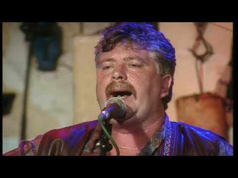 Dublin City Ramblers - Four Green Fields (Live at Johnnie Fox's)