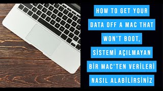 How to Get Your Data Off a Mac That Won't Boot, Açılmayan Bir Mac'ten Verileri Nasıl Alabilirsiniz