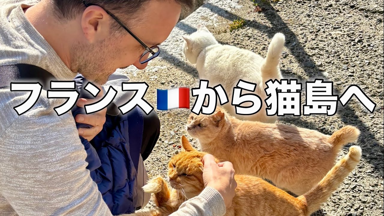 フランス人が日本の猫島に行ったら衝撃だった！