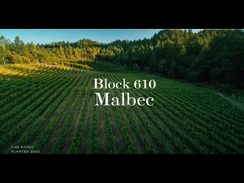 Mt. BRAVE MALBEC 2014 - Mt. Veeder AVA, Napa Valley video