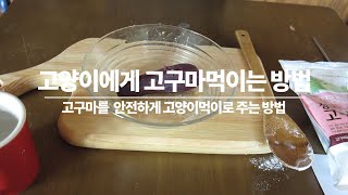 고양이에게 고구마를 간식으로 먹이는 방법