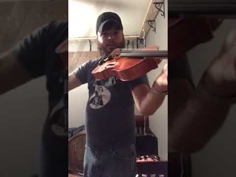 Viola 16.5” 2-pc back Big sound!