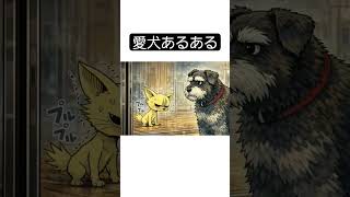 ガラスで豹変するワンちゃん【愛犬あるある】