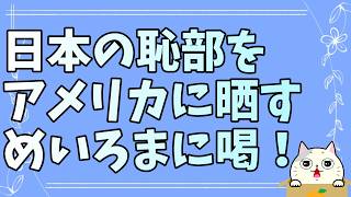 めいろま氏やめてくれ！日本保守党をアメリカに勧めるな！ｗ