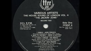 Various - The House Sound of London Vol. 4 The Jackin Zone/Jamie Principle/The Speech/Acid Fingers