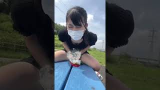 赤てすね #shorts #tiktok #きんにくん