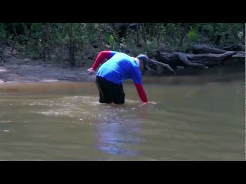 FISH FINDER WOLF FISH ATTACK 2  [ FISH FINDER ]