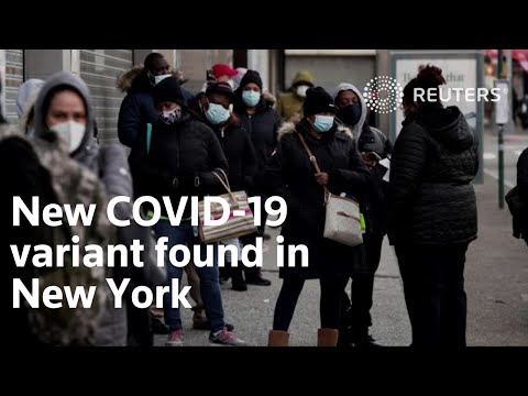 New coronavirus variant identified in New York
