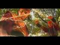 258 Great The Beginning Of Gundala Seta S Extraordinary Appearance Arya Soma Mak Lampir Beat Hi