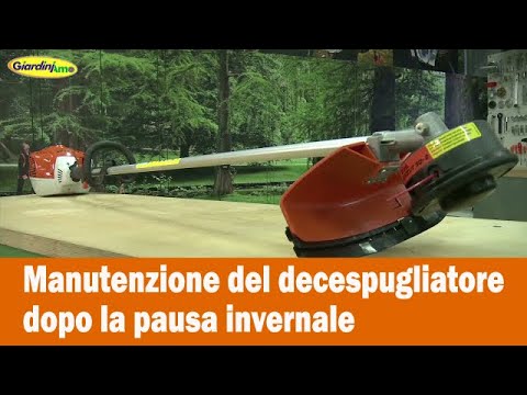 Miniatura Video