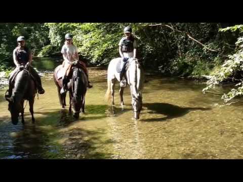 Jugendcamp 2016 Pyrmonter Hof Roes