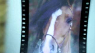 Lars Vaular - Fett teaser