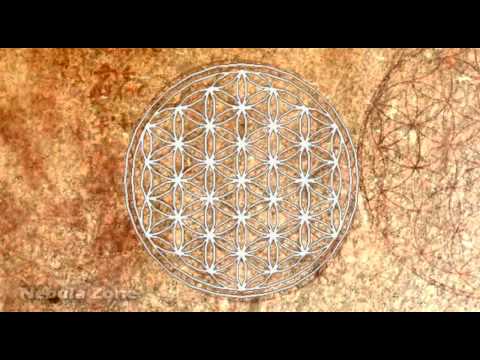 Tetra Graviton