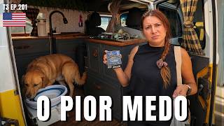 NOSSO CACHORRO FICOU DOENTE NO MEIO DA VIAGEM | T3 EP. 201