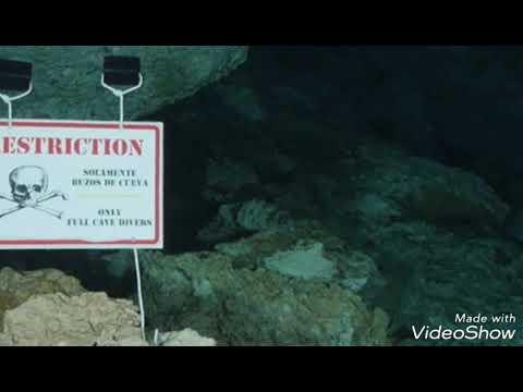 Donald Cerrone Comes Face To Face With Death In Near Fatal Cave Diving Experience