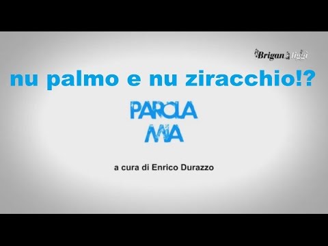 💬 Che vuol dire NU PALMO E NU ZIRACCHIO⁉️ - [Parola Mia] - Lingua Napoletana