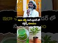 Best Medicine For Gall Bladder Stones PMC Health