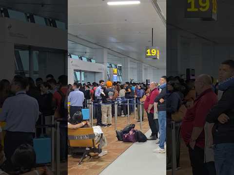 개 같지만 다시 찾게 되는 린도: 여행의 함정과 교훈