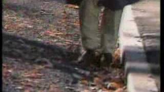 Sneaky Feelings - Husband house (1985)