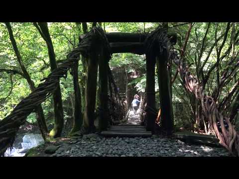 奥祖谷二重かずら橋
