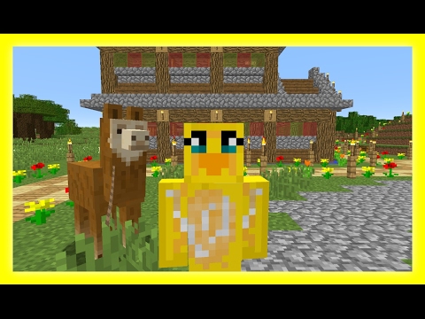 Feather Adventures :  More & More Mansion  - {234}