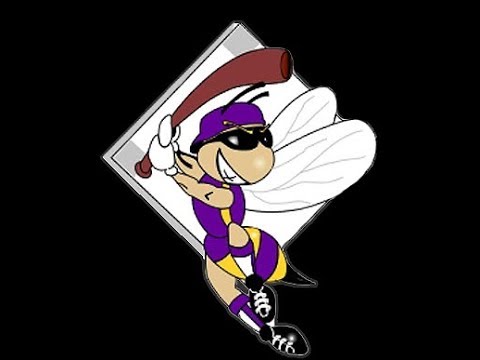 2020 Madison Reger Pitcher Softball Skills Video - San Jose Sting