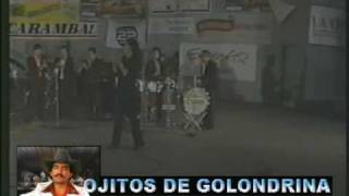 ojitos de golondrina joan sebastian