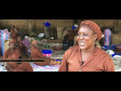 Beurre de karité, vecteur de développement