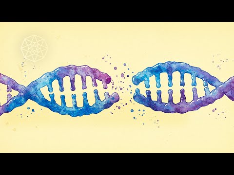 The Theory Of De-Evolution