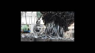大量に水揚げされるイワシ｜#銚子市 #ChoshiCity #銚子漁港 #shorts