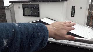 A Little Snow In Tokyo, Japan March 29th, 2020