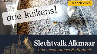 Nummer drie is ook te zien