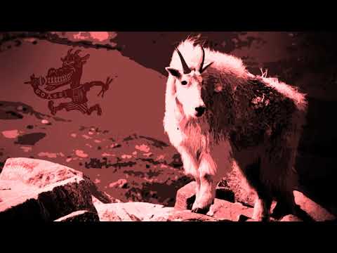 El HotFroG - You Play This Easy In The Back