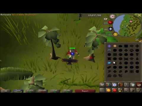 Crucial Decision - Lynx Titan