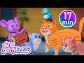 Meow meow cartoon songs 🐱🐈 + More Hindi & Hindi Rhymes for Children | Ding Dong Bells