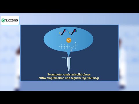 TAS-Seq: A Novel Technique for Highly Sensitive and Robust Single-Cell RNA Sequencing