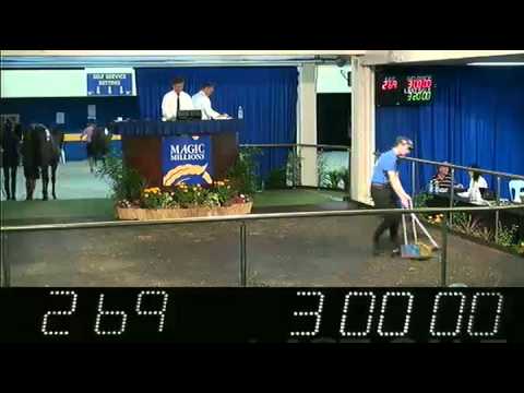2013 Perth Yearling Sale Session 2