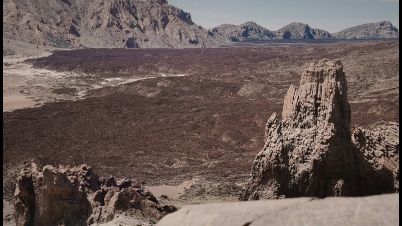 Yulo X - AMOR (Official Music Video)