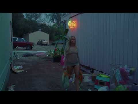 Zara Larsson video artwork