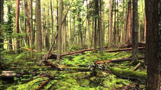 Trip video of Snyder Lake.